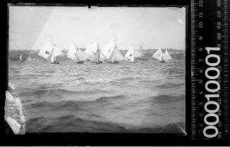 10-footers racing in the Balmain Regatta, Sydney harbour