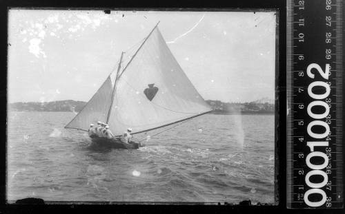 14-footer EUCHRE, Sydney Harbour