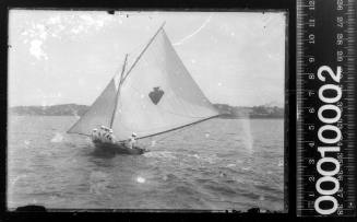 14-footer EUCHRE, Sydney Harbour