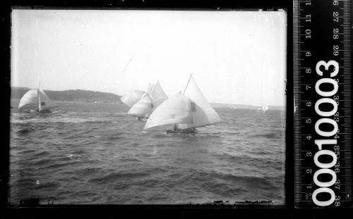 Three 18-footers using spinnakers, Sydney Harbour