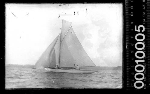 Yacht with the number '16' displayed on the mainsail, Sydney Harbour