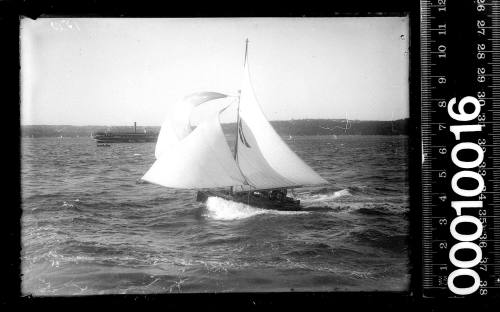 14-footer on Sydney Harbour