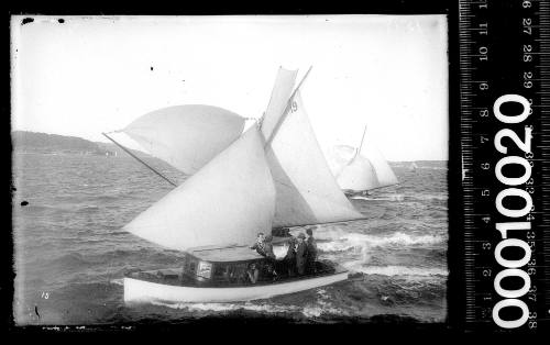 14-footer with the number '19' on the mainsail sailing behind a launch on Sydney Harbour