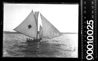 14  footer EUCHRE, Sydney Harbour