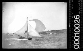 18-footer sailing on Sydney Harbour