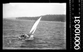 Amateur class yacht, A29, sailing on Sydney harbour