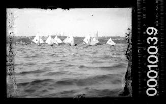 10-footers racing in the Balmain Regatta, Sydney Harbour