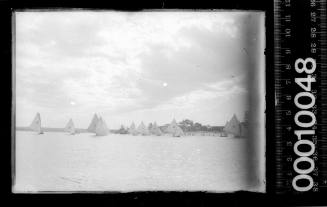 Fleet of 14-footers on Botany Bay, New South Wales