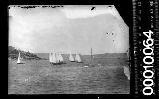 16-foot skiffs racing off Bradley's Head, Sydney Harbour