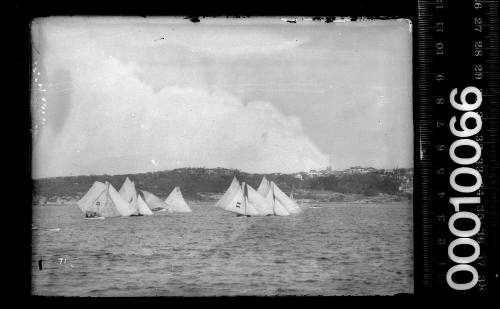 18-footers sailing in two groups on Sydney harbour