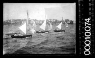 Three 12-foot skiff cadet dinghies sailing on Sydney Harbour