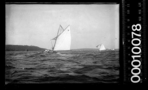 Yacht racing on Sydney Harbour with 2 on main sail