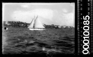 Amateur class yacht, A29, sailing on Sydney Harbour