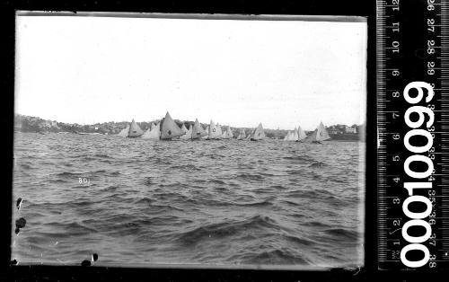 Start of regatta race on Sydney Harbour