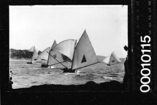 Four 18-footers racing past Nielsen Park, Sydney Harbour