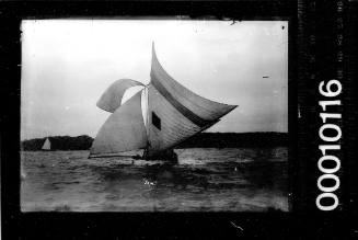 Queensland 10-footer IREX sailing on Sydney Harbour