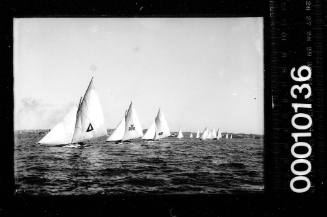 14-footers, Sydney Harbour