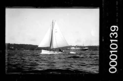 Amateur class yacht, A49, sailing on Sydney harbour