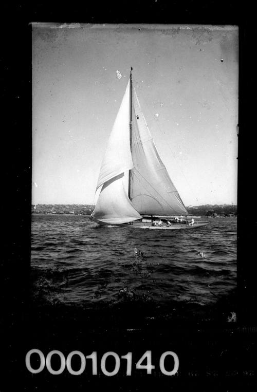 Portside view of a yacht on Sydney Harbour with the number '8' on the mainsail