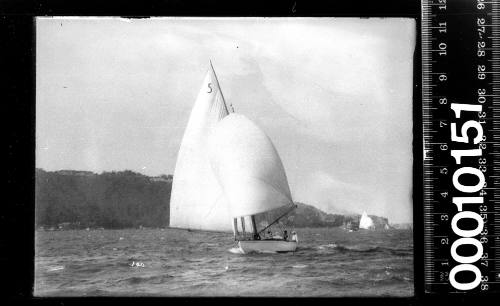 Yacht with the number '5' on the mainsail flying a spinnaker, Sydney Harbour