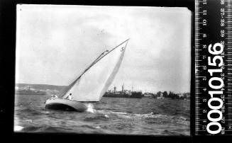 Yacht displaying the number '5' on the mainsail while sailing on Sydney Harbour