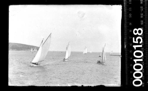 Amateur class yachts sailing on Sydney harbour