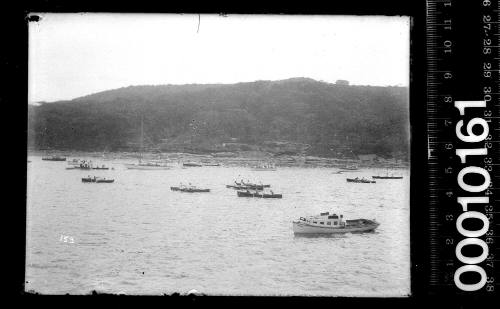 Rowing regatta on Sydney Harbour