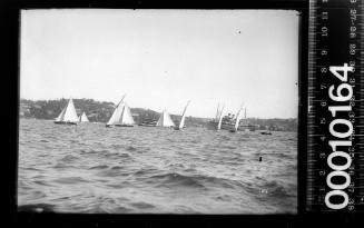 21-foot restricted class yachts and steamships, Sydney Harbour