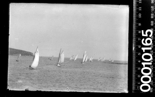 Amateur class yachts racing on Sydney Harbour