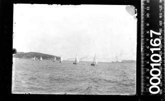 16-foot skiffs racing with Sydney Heads in the background