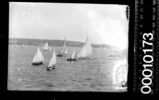 Cadet dinghies sailing on Sydney Harbour