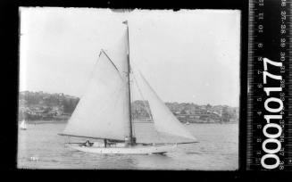 Cutter with inner jib furled and seven people onboard, Sydney Harbour