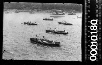 Rowing race on Sydney Harbour