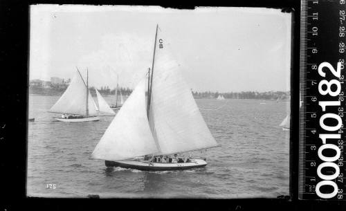 21-foot restricted class yacht NETTLE (C8) sailing near Manly, Sydney