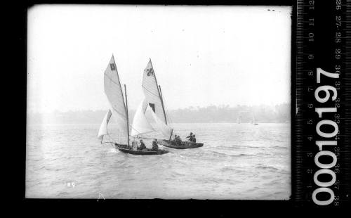 Two 16-foot skiffs, one with the number '13' on the mainsail, the other '24', Sydney Harbour