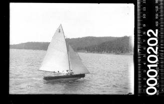21-foot restricted class yacht with 'C 8' on the mainsail, Sydney Harbour