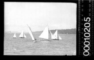 Two amateur class yachts sailing in front of three 16-foot skiffs, Sydney Harbour