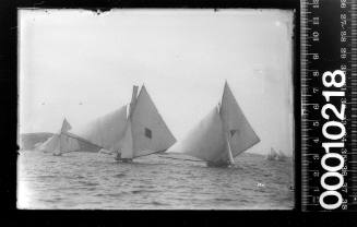 Group of 18-footers racing, Sydney Harbour