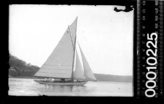 Gaff rigged top sail yacht displaying the number '7' on the mainsail, Sydney Harbour