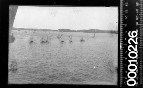 Start of a 16-foot skiff race off Shark Island, Sydney Harbour