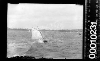 Gaff rigged yacht with the number '31' on the mainsail near Manly, Sydney