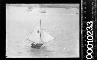 16-foot skiff with the number '31' on the mainsail, Sydney Harbour