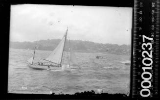 Pitched rigged yacht with the number '28' on the mainsail, Sydney Harbour