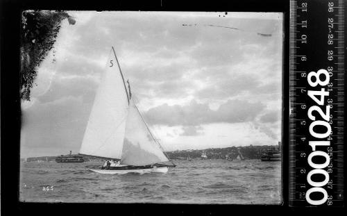 Gaff rigged yacht with the number '5' displayed on the mainsail, Sydney Harbour