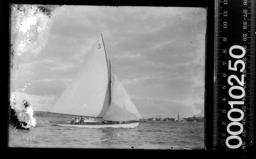 Gaff rigged yacht with the number '5' displayed on the mainsail, Sydney Harbour