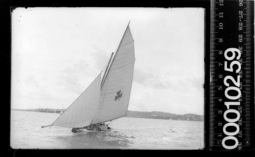 16-foot skiff  with a shamrock emblem on the mainsail, Sydney Harbour