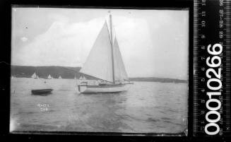 Starboard view of a gaff rigged raised deck yacht under sail, Sydney Harbour