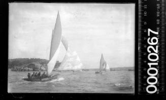 18-footers racing past Steel Point, Sydney Harbour