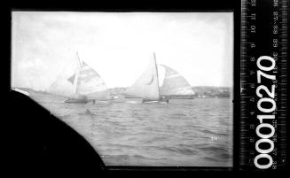 18-footers racing past Point Piper, Sydney Harbour