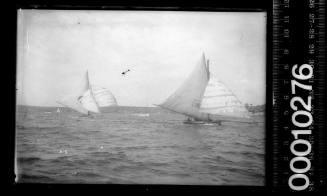 18-footers ADVANCE or NEW SOUTH WALES and PASTIME under sail, Sydney Harbour